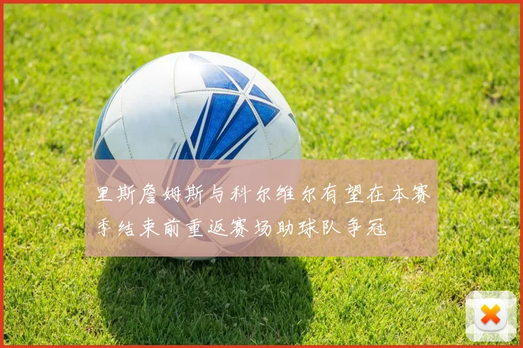 里斯詹姆斯与科尔维尔有望在本赛季结束前重返赛场助球队争冠