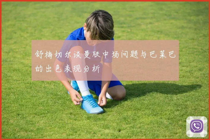 舒梅切尔谈曼联中场问题与巴莱巴的出色表现分析